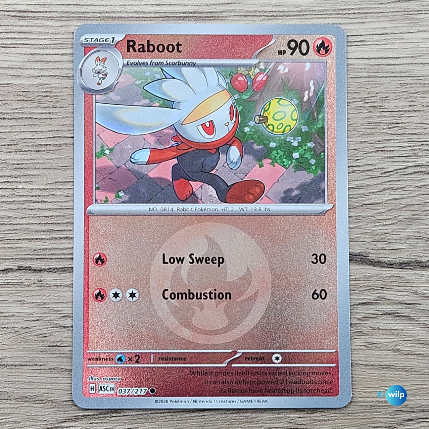 037/217 Raboot Reverse Holo Ascended Heroes Pokémon Trading Card