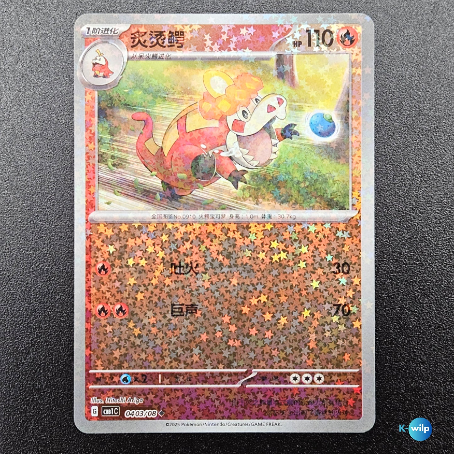Crocalor 0403/08 Stars Pattern Holo Chinese Gem Pack Vol 1 CBB1c Rare Chinese Pokémon Trading Card
