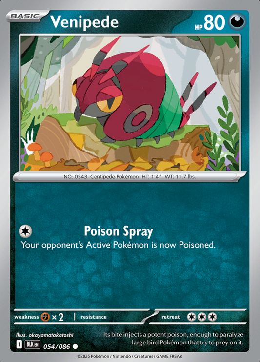 054/086 Venipede (Non-Holo) Black Bolt Pokémon Card