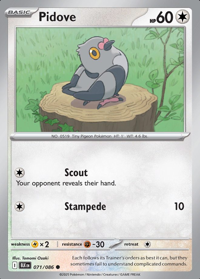 071/086 Pidove Black Bolt Pokémon Card