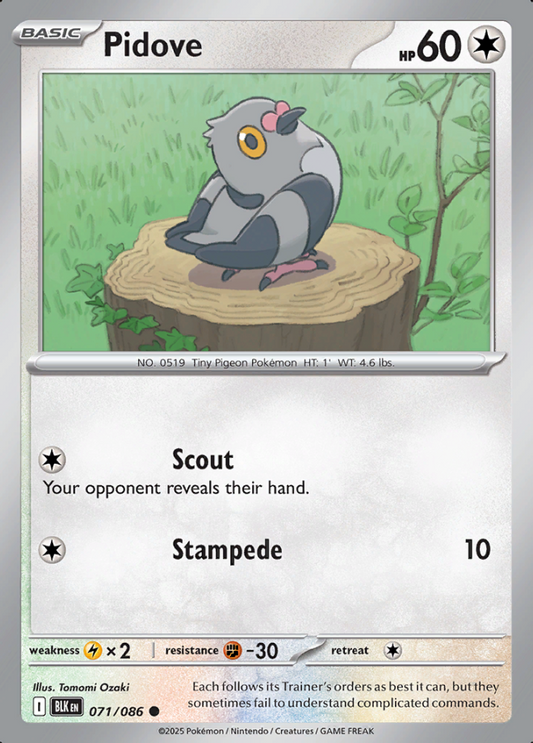 071/086 Pidove Black Bolt Pokémon Card