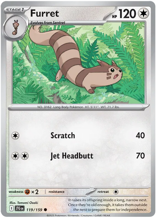 119/159 Furret Journey Together Pokémon Card