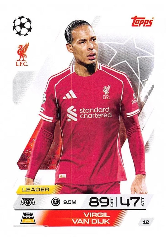 012 Virgil van Dijk (Liverpool)