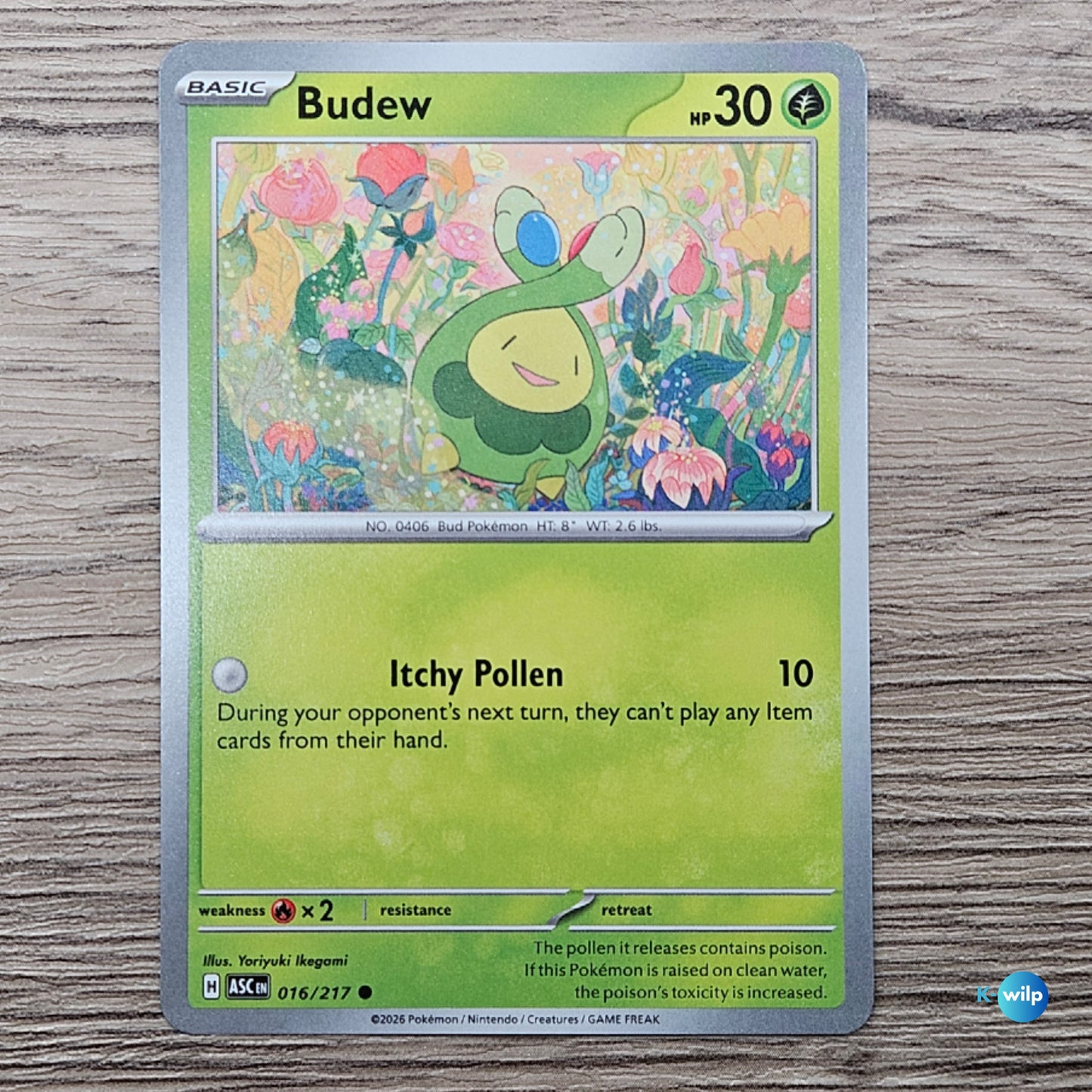 016/217 Budew Ascended Heroes Pokémon Trading Card