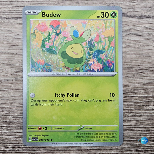 016/217 Budew Ascended Heroes Pokémon Trading Card