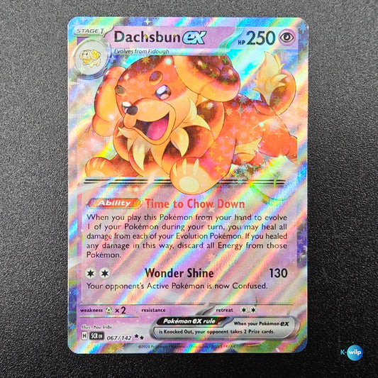Dachsbun ex 067/142 Stellar Crown Holo Double Rare English Pokémon Trading Card